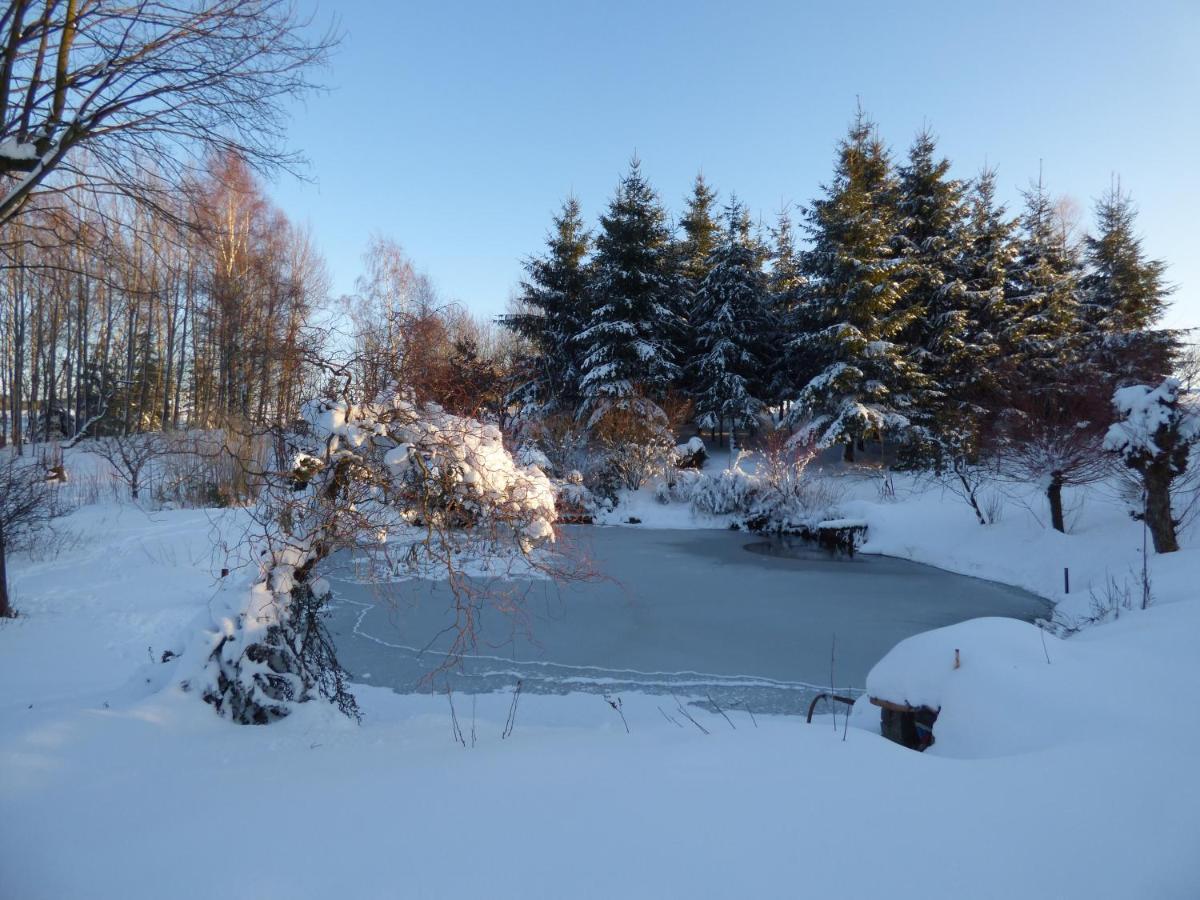 Na Kopci 84 Appartement Stare Krecany Buitenkant foto
