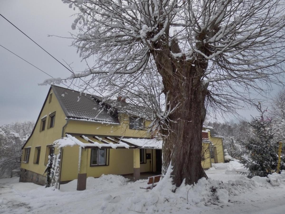 Na Kopci 84 Appartement Stare Krecany Buitenkant foto